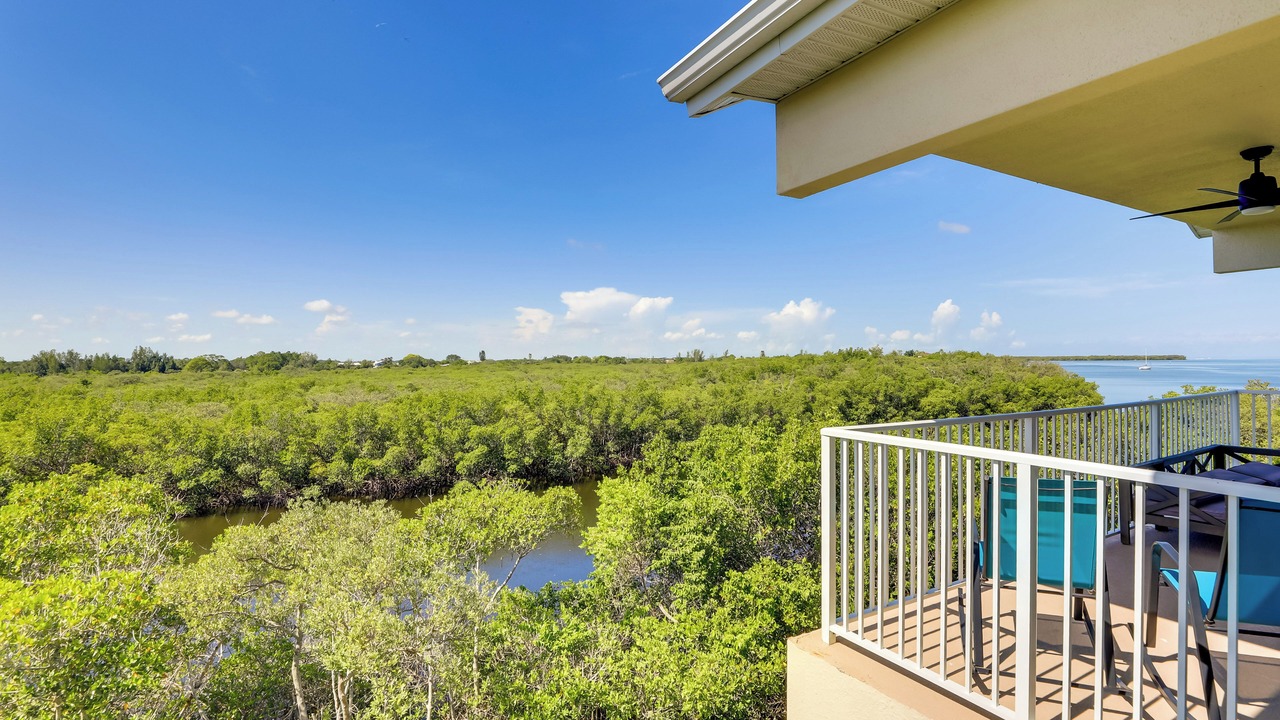 Photo of Outdoor in Ruskin