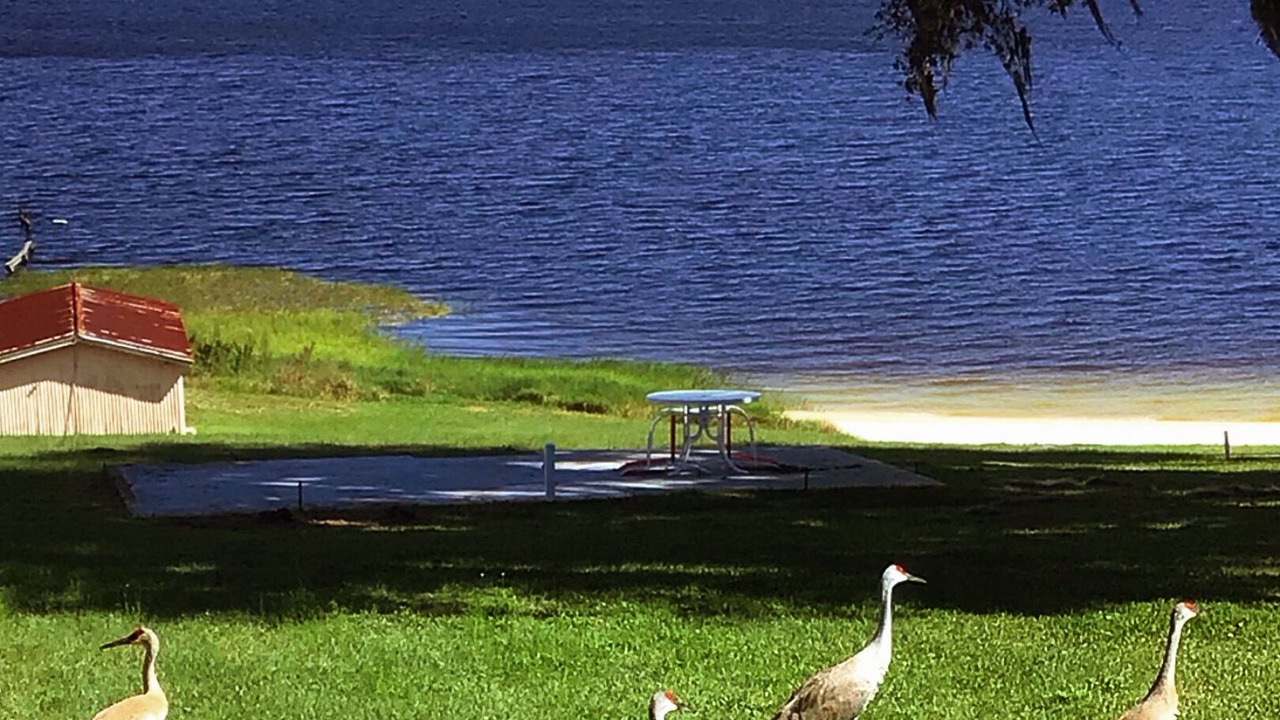 Photo of Outdoor in Crooked Lake