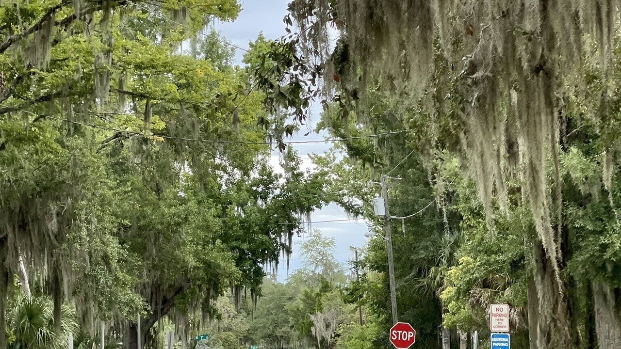 Photo of Others in Crystal River