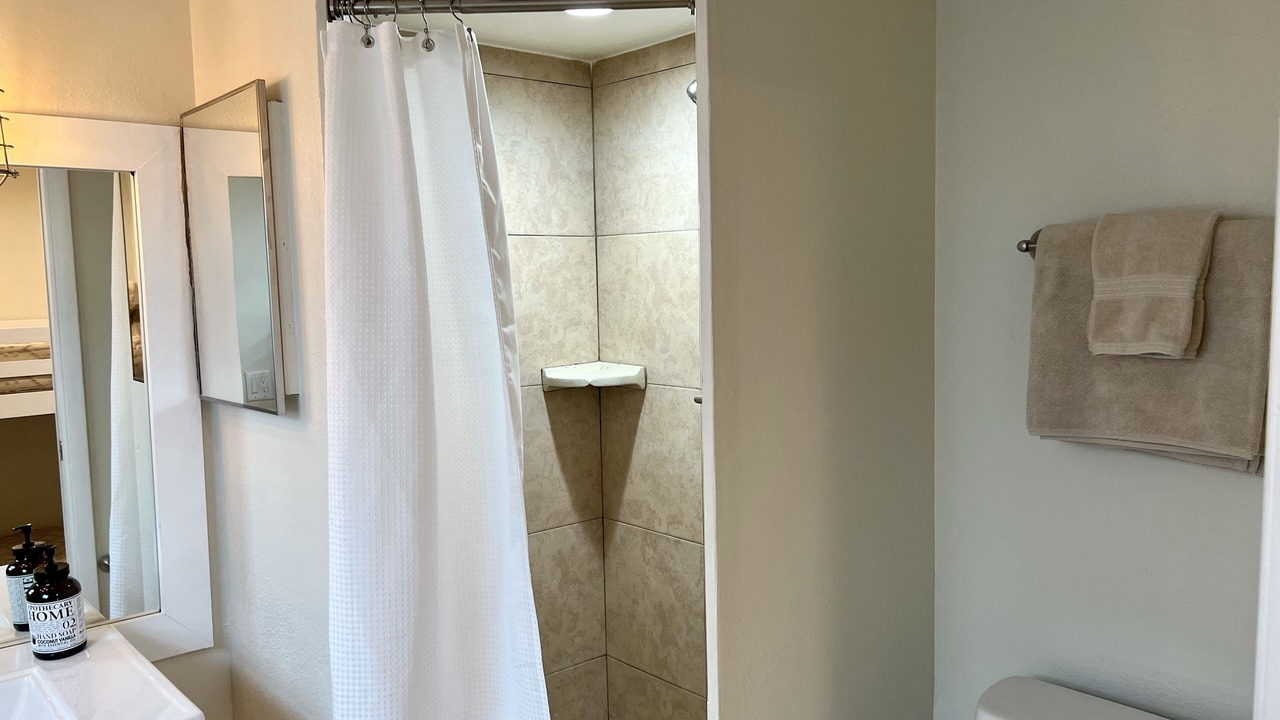 Photo of Bathroom in Dunedin