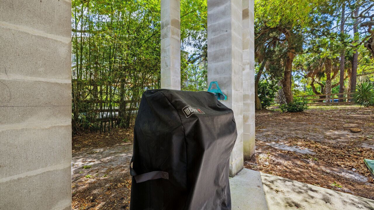 Photo of Outdoor in Cedar Key