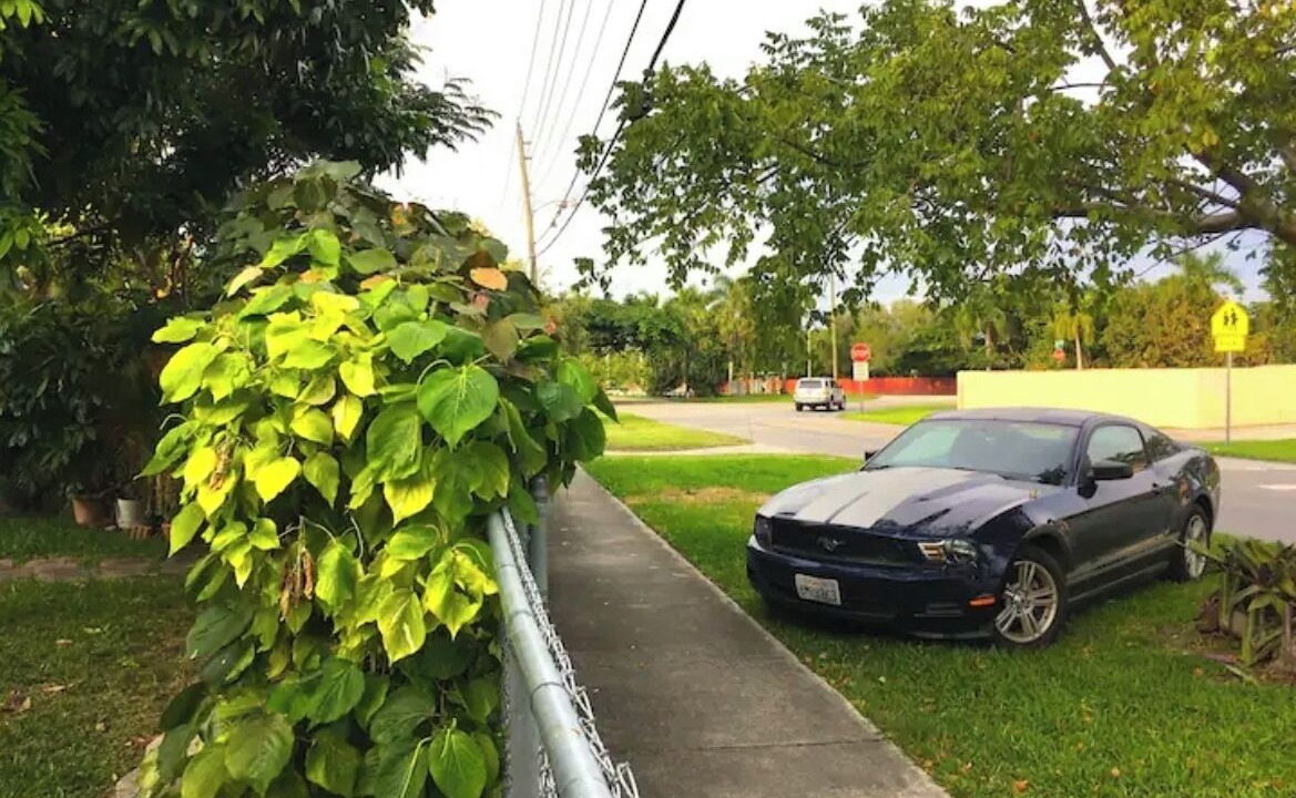 Photo of Outdoor in Cutler Bay