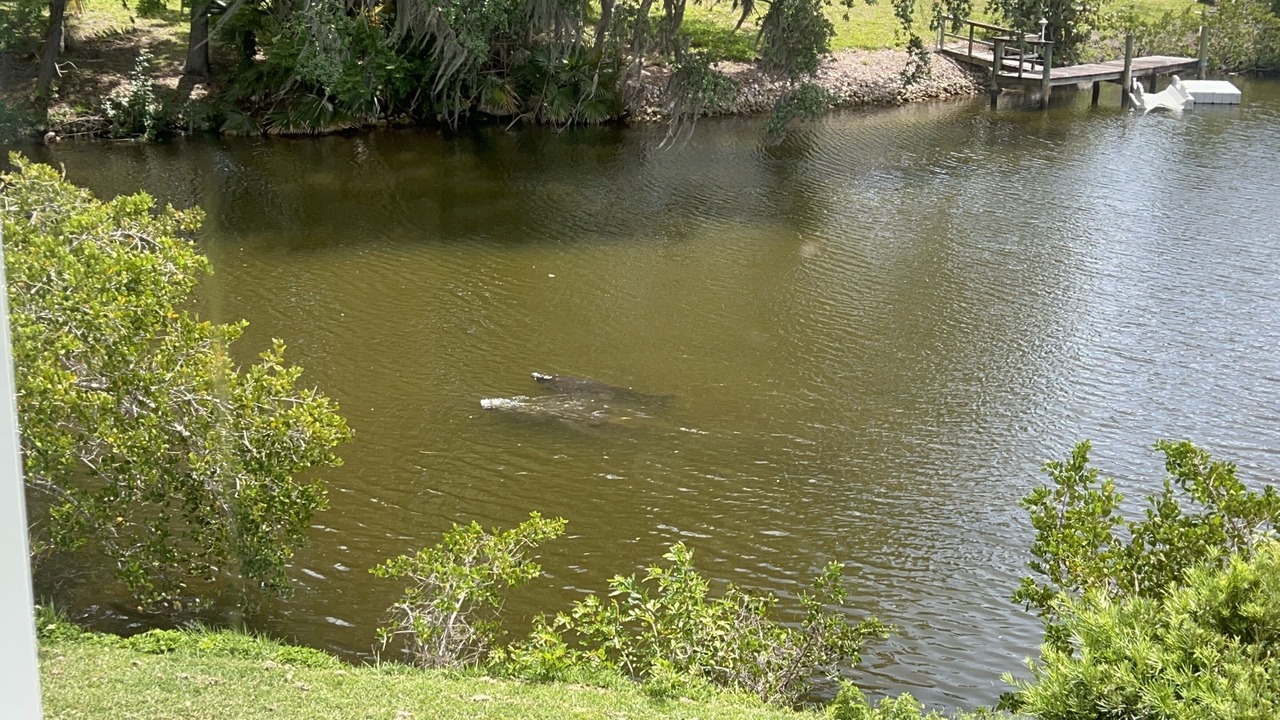 Photo of Others in Bayshore Gardens