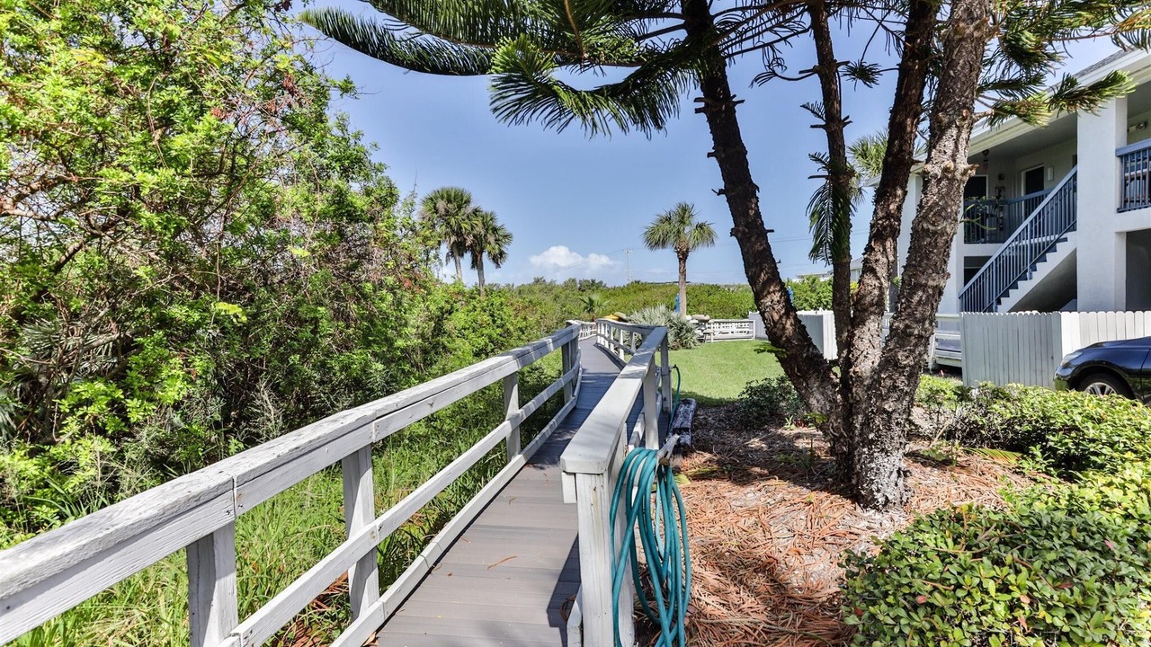 Photo of Outdoor in New Smyrna Beach