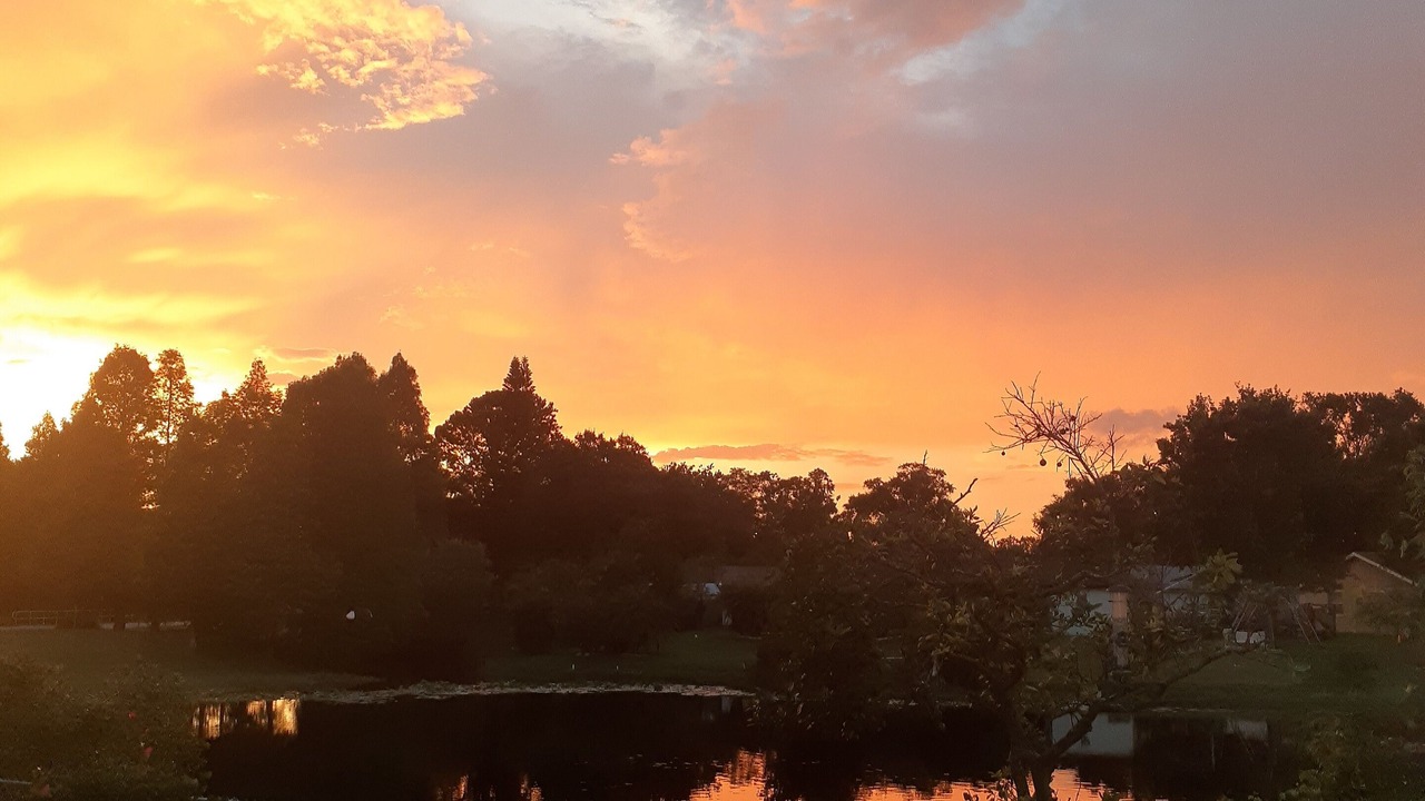 Photo of Outdoor in Citrus Park
