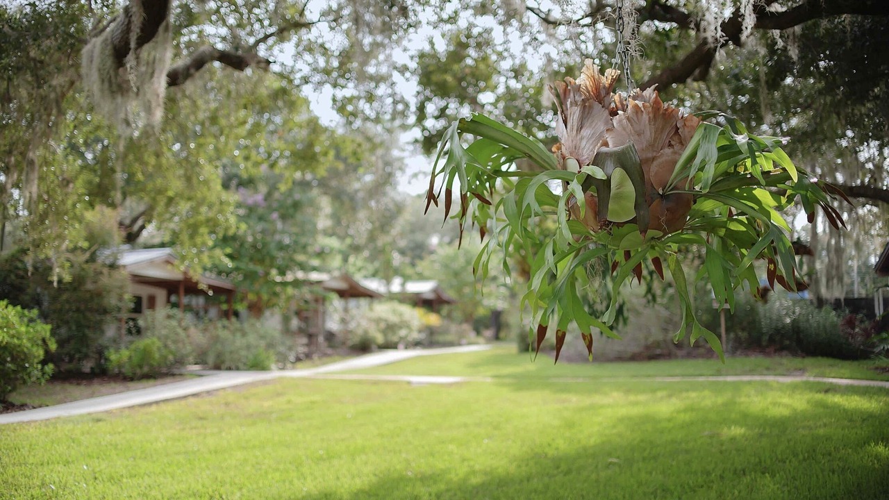 Photo of Outdoor in Hernando