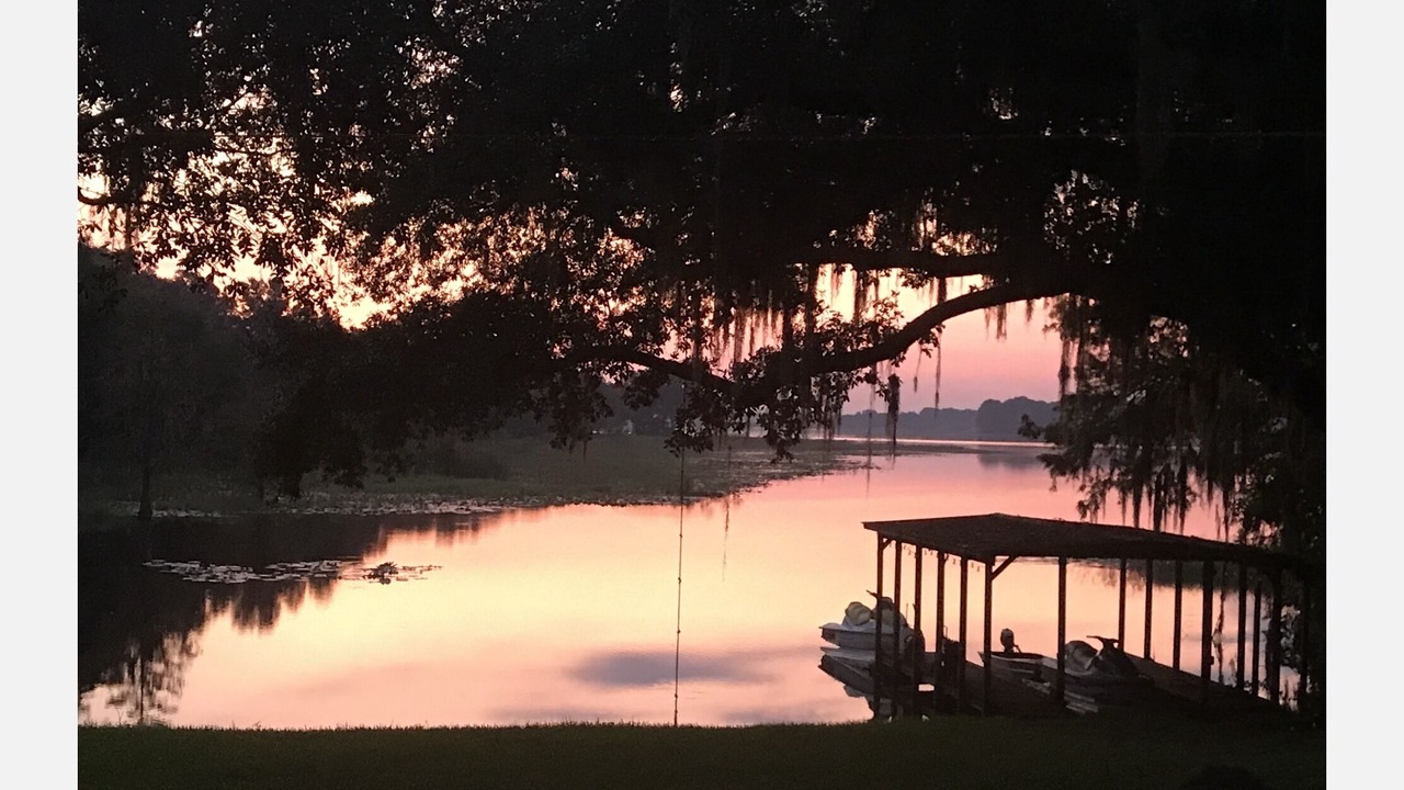 Photo of Outdoor in Hernando