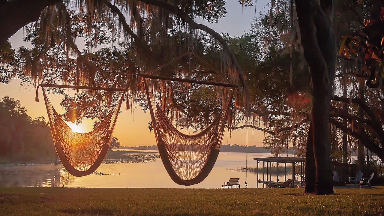 Photo of Others in Hernando