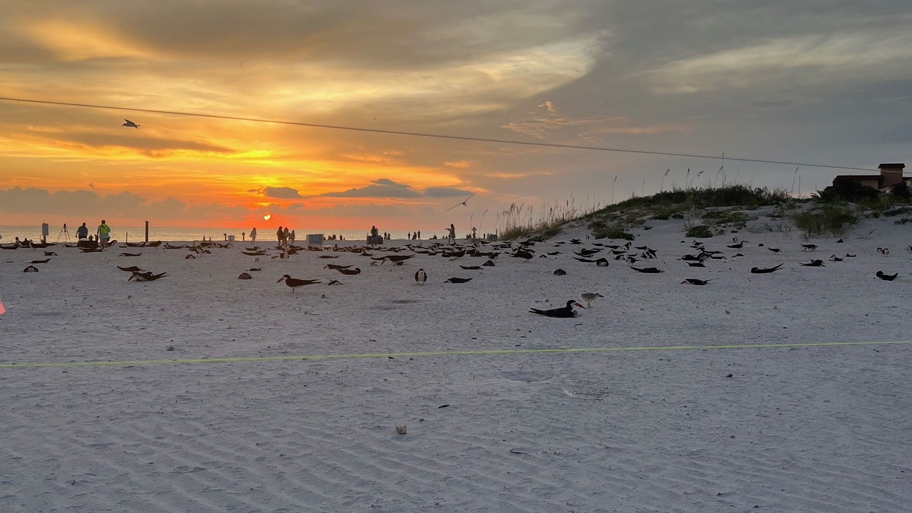 Photo of Others in Sunset Reef