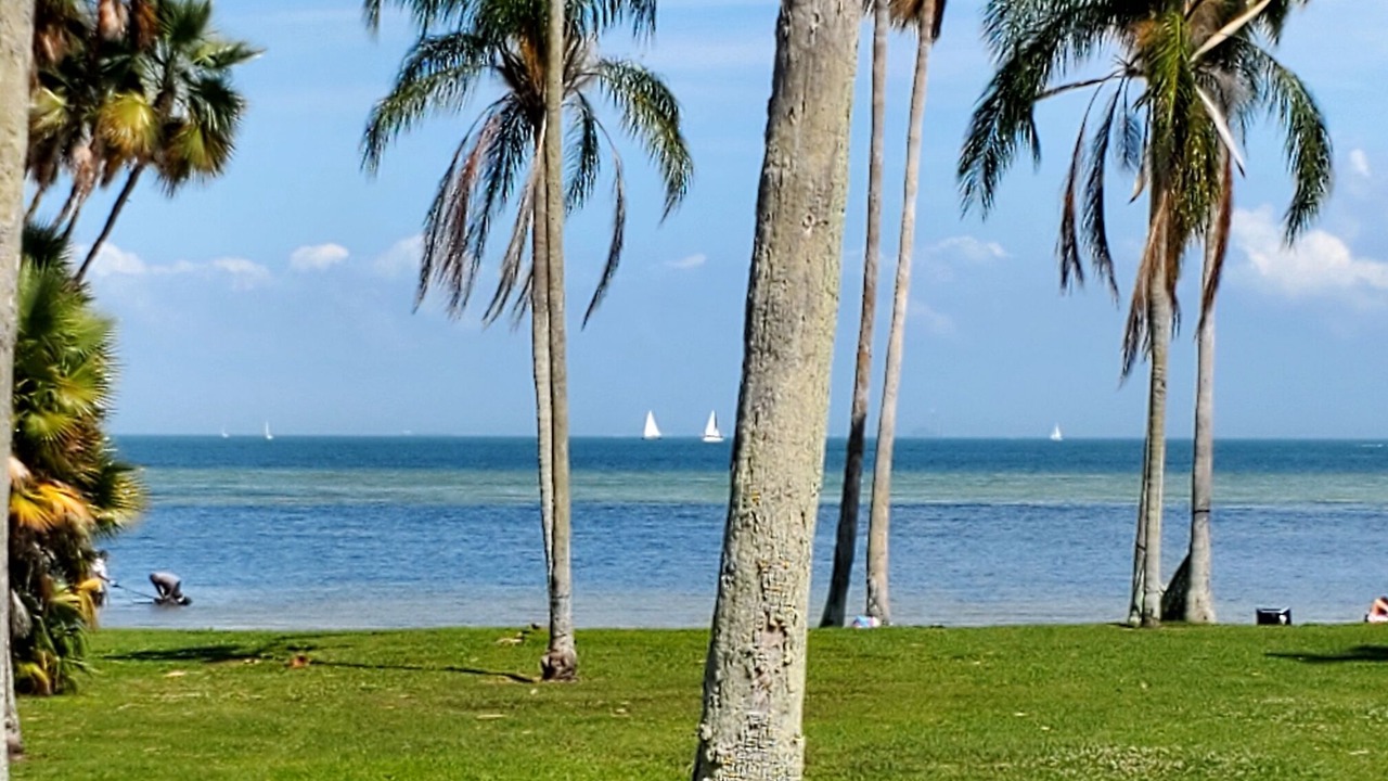 Photo of Others in Tropical Shores