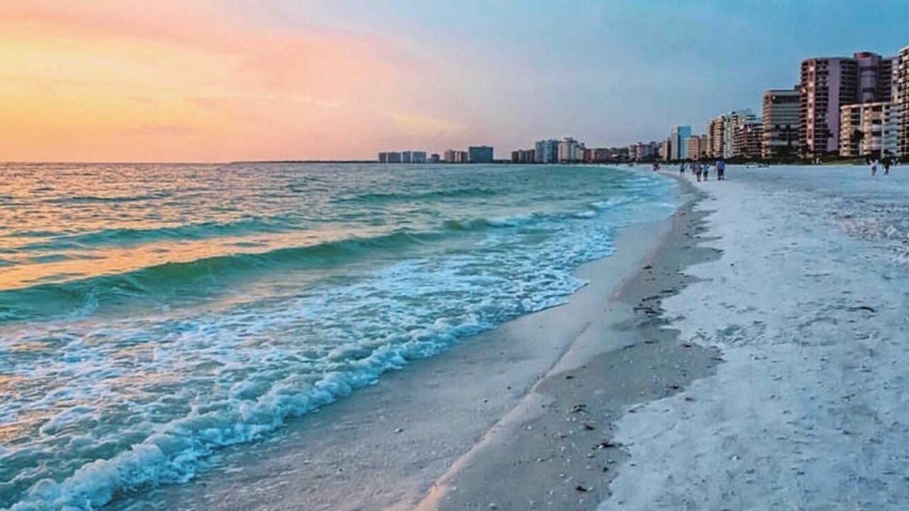 Photo of Others in Marco Island