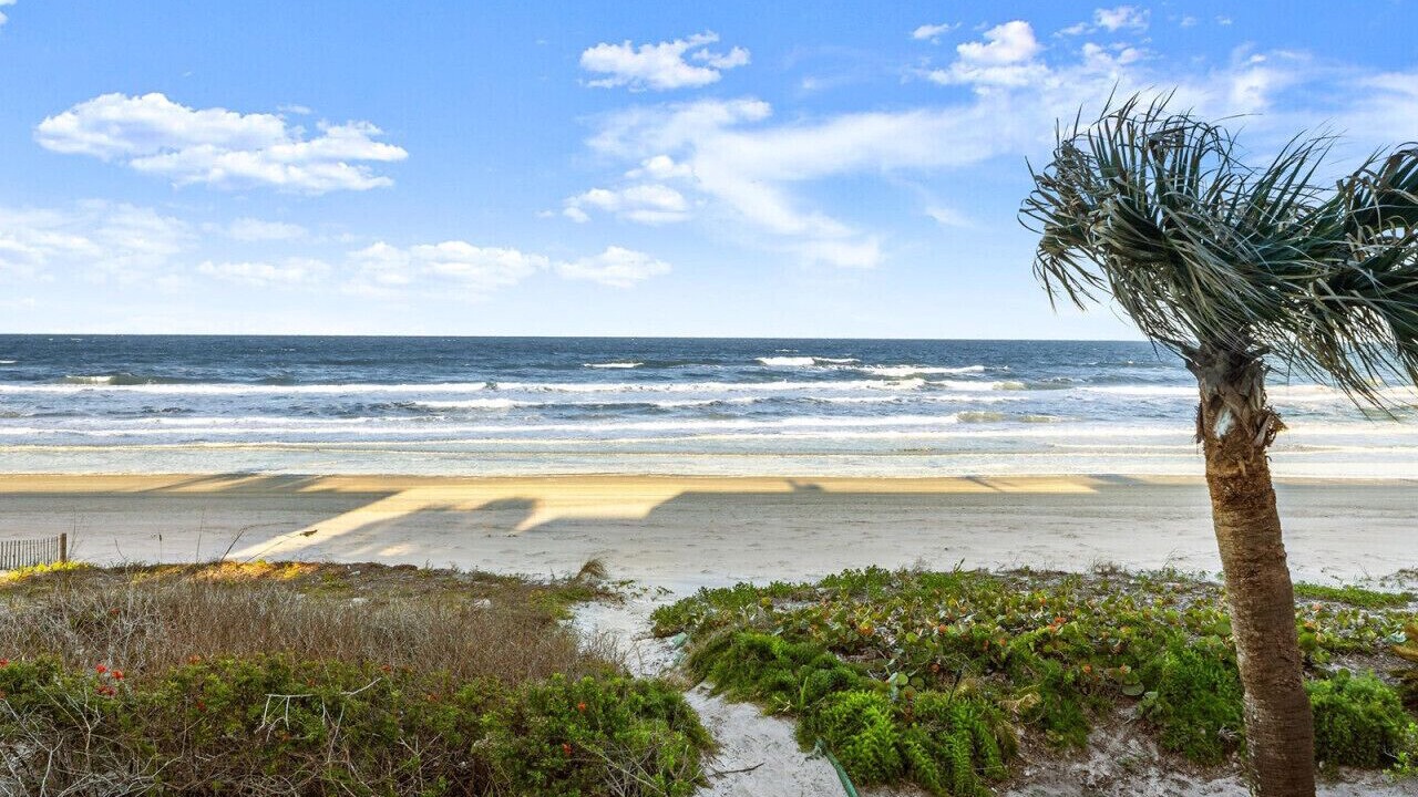 Photo of Others in Southern Shores
