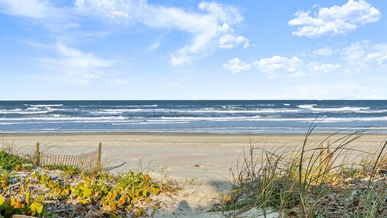 Photo of Others in Southern Shores