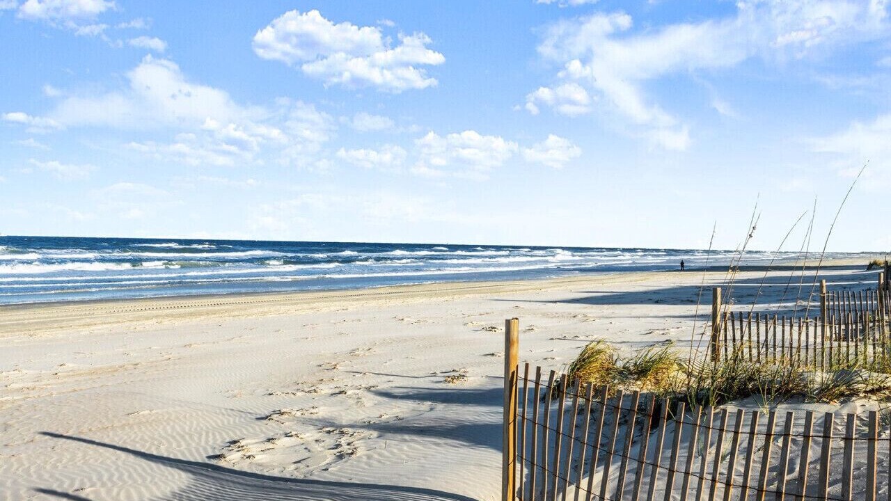 Photo of Others in Southern Shores