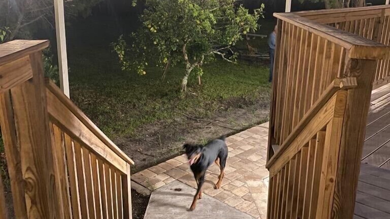Photo of Outdoor in Longwood