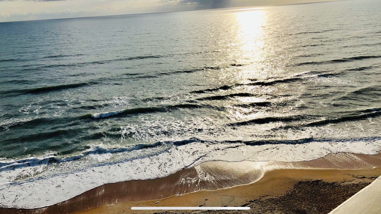 Photo of Others in Ormond-by-the-Sea