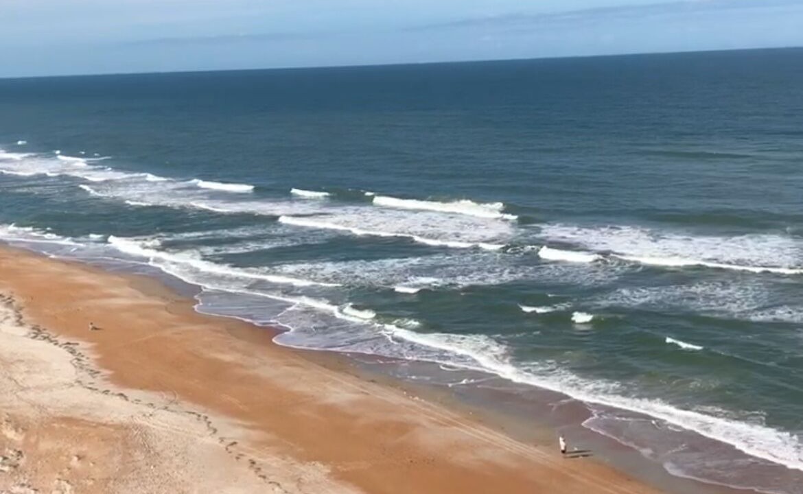 Photo of Others in Ormond-by-the-Sea