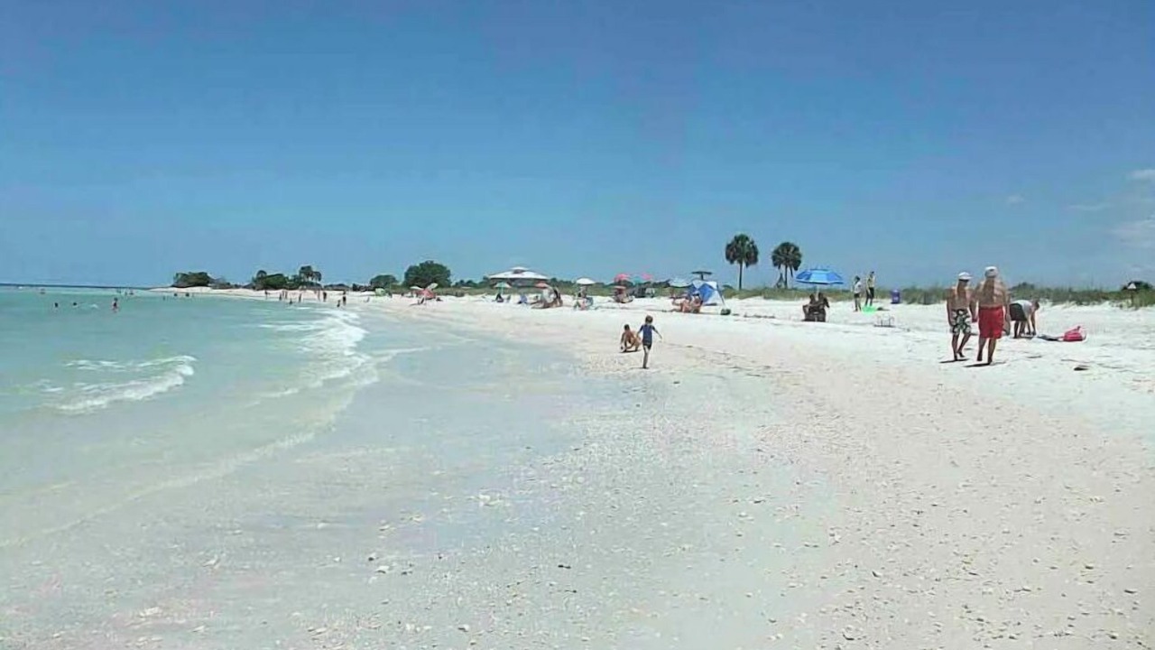 Photo of Others in Oldsmar