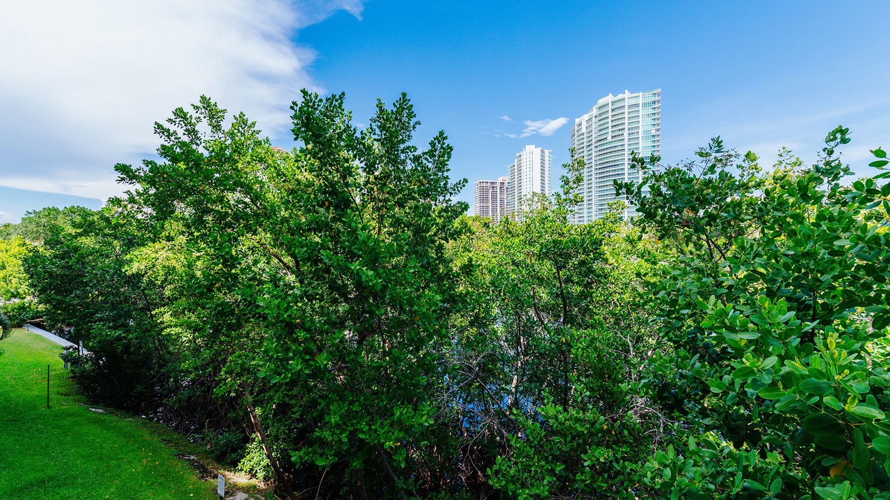 Photo of Outdoor in Aventura