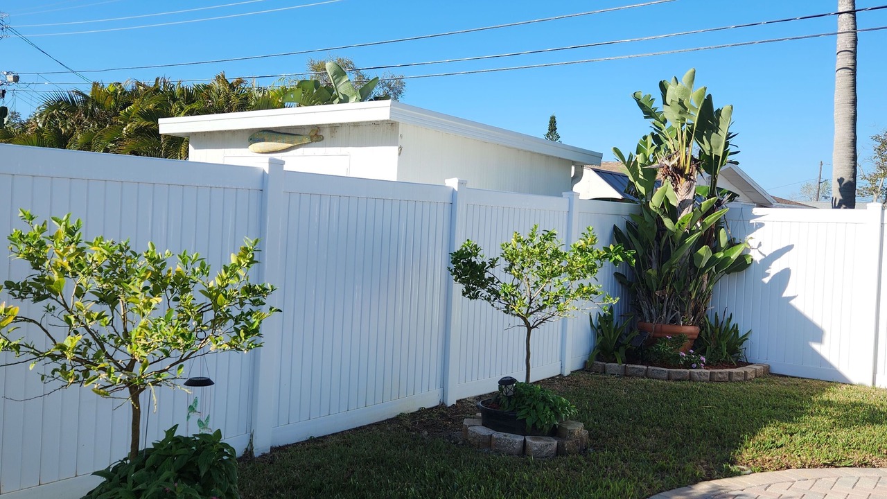 Photo of Outdoor in St. Petersburg - Clearwater