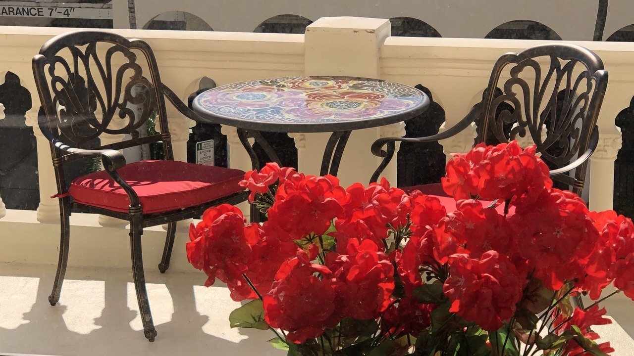 Photo of Outdoor in Palm Beach - West Palm Beach