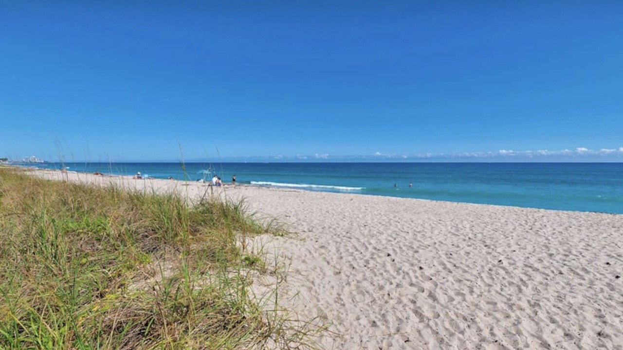 Photo of Others in Palm Beach - West Palm Beach