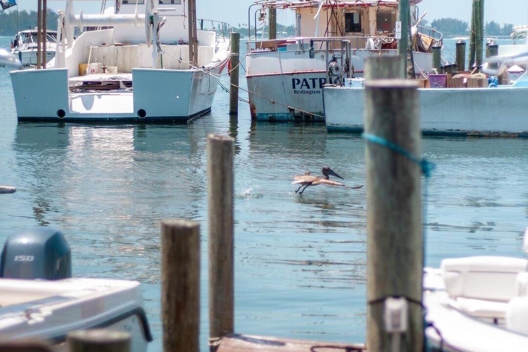 Photo of Others in Cortez