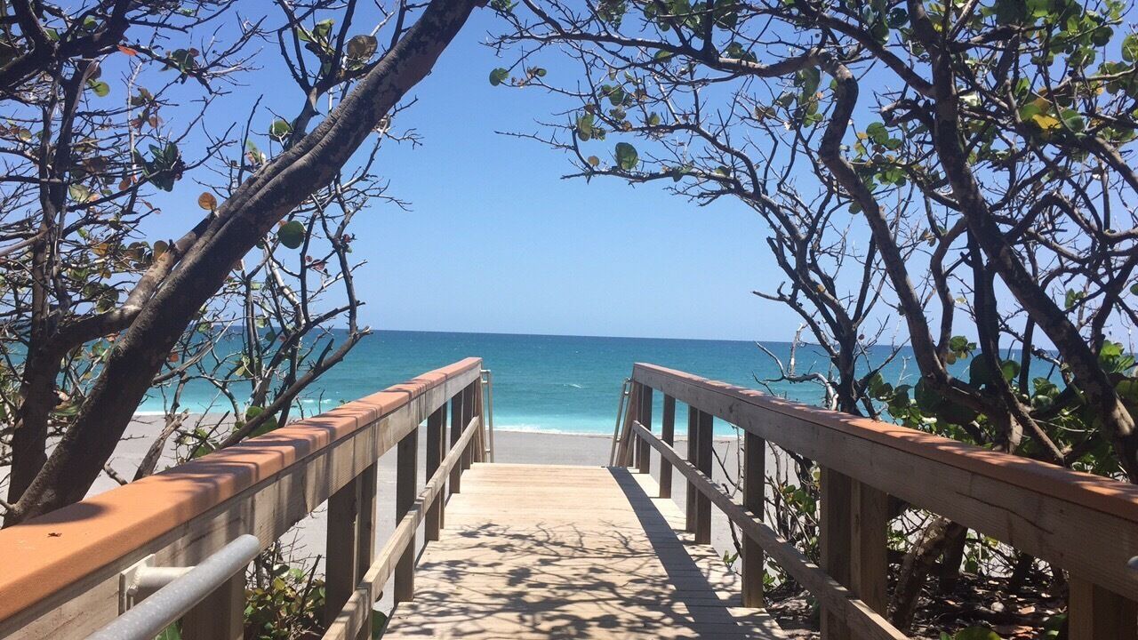Photo of Others in Jupiter