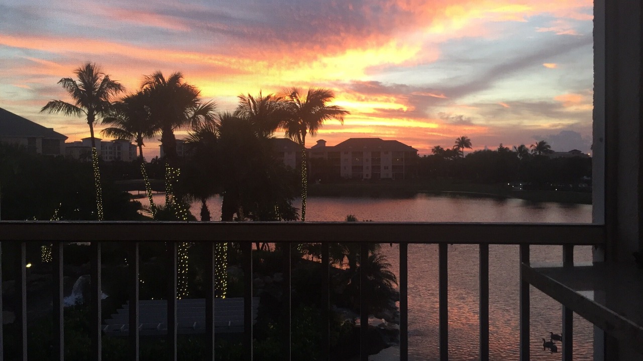 Photo of Others in Jupiter