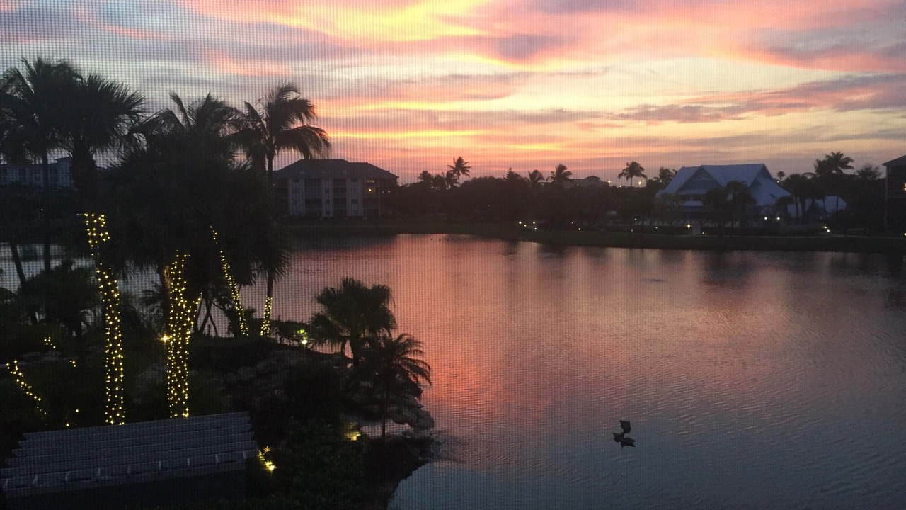 Photo of Others in Jupiter