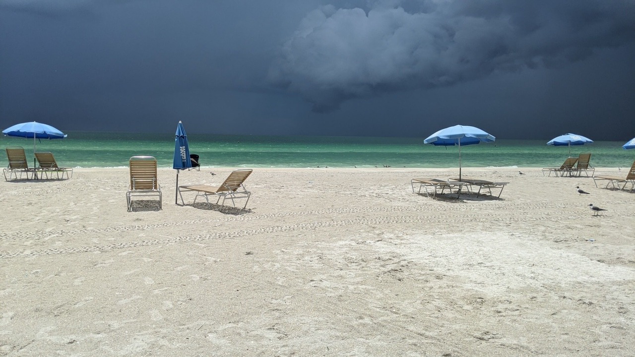 Photo of Others in Whitfield