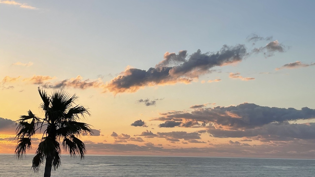 Photo of Outdoor in Central Beach