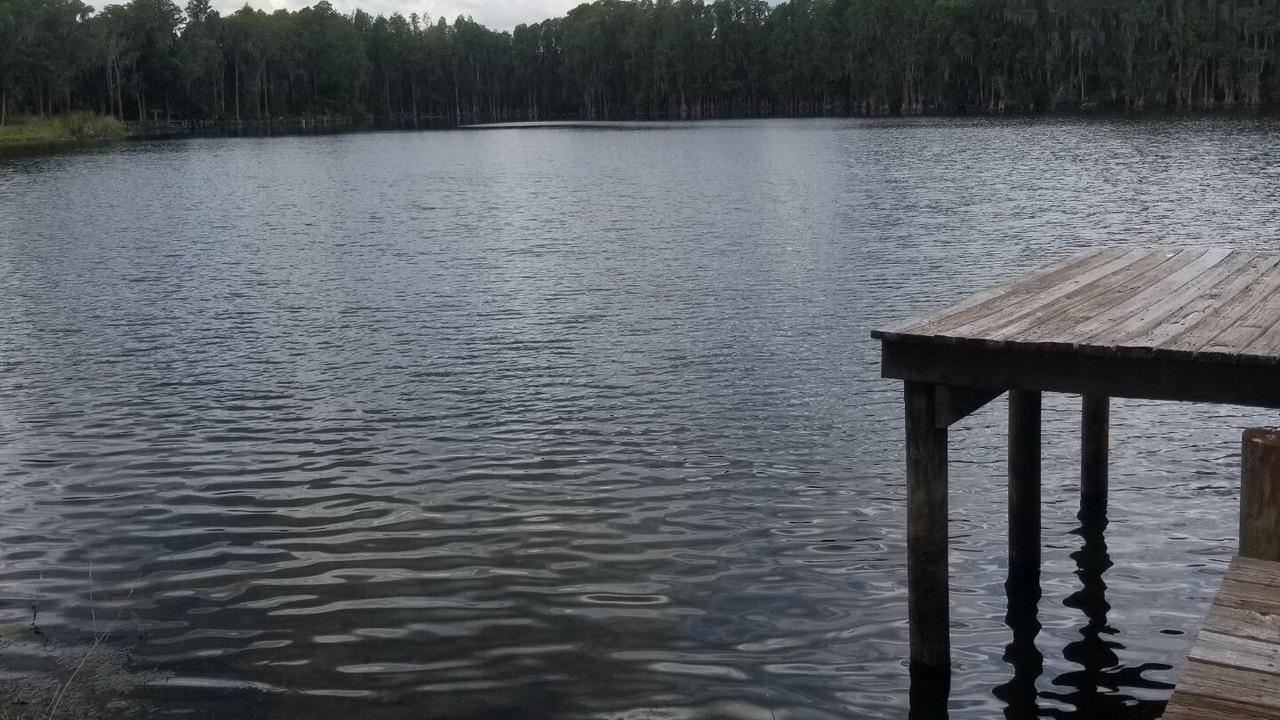 Photo of Outdoor in Land O' Lakes