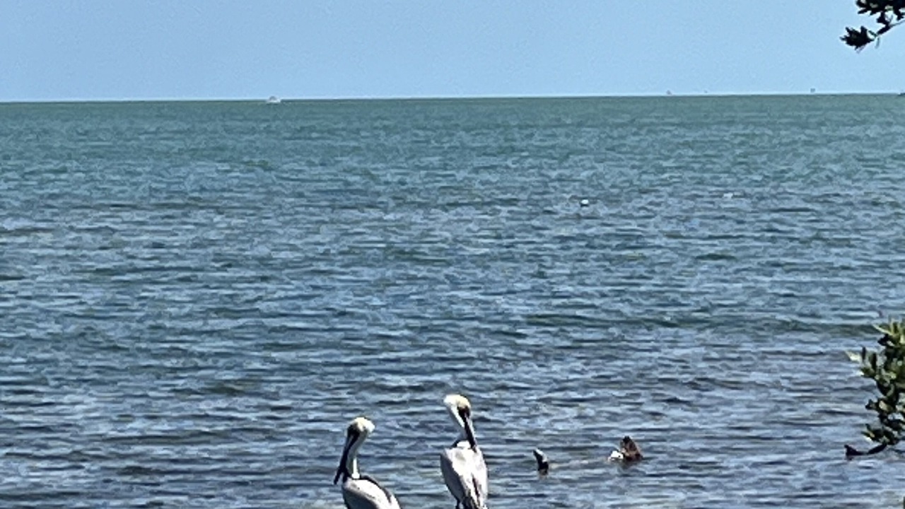 Photo of Others in Ramrod Key