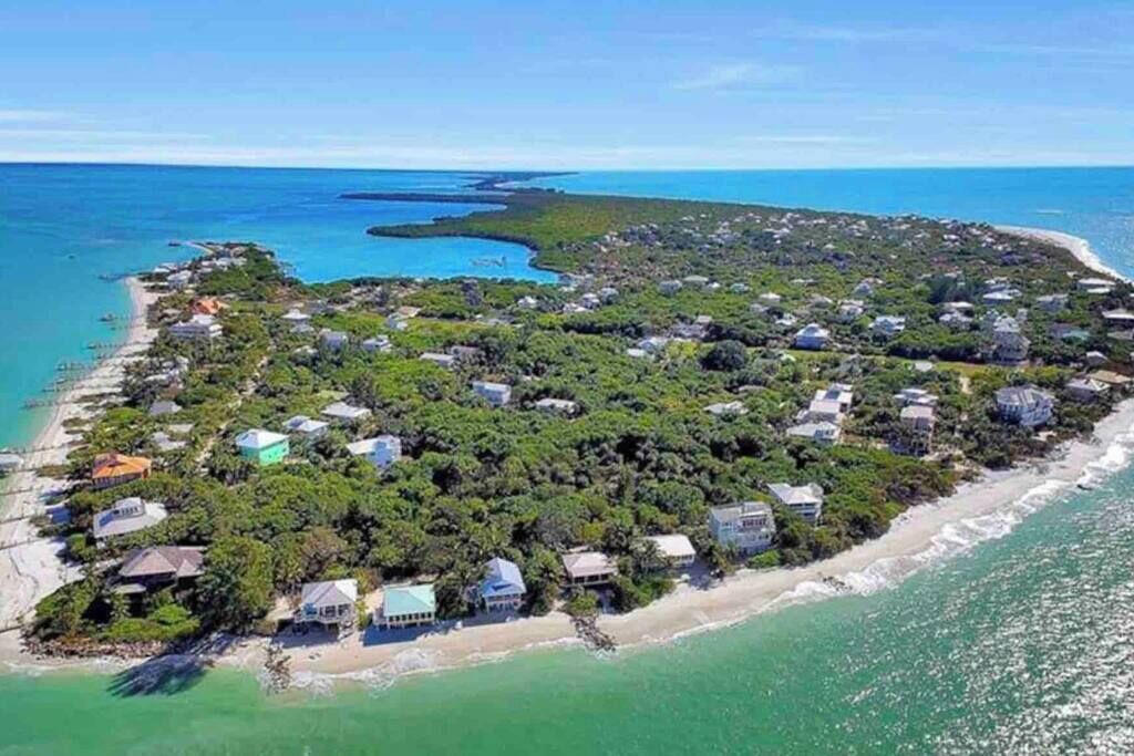 Photo of Others in Safety Harbor Club