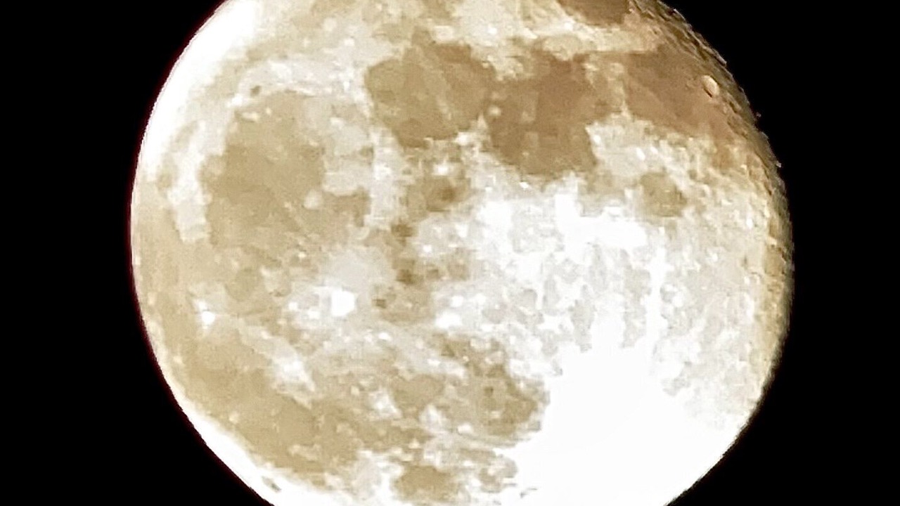 Photo of Others in Citrus Springs