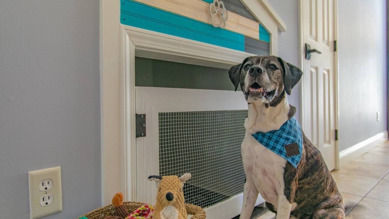 Photo of Bedroom in Jacksonville Beach
