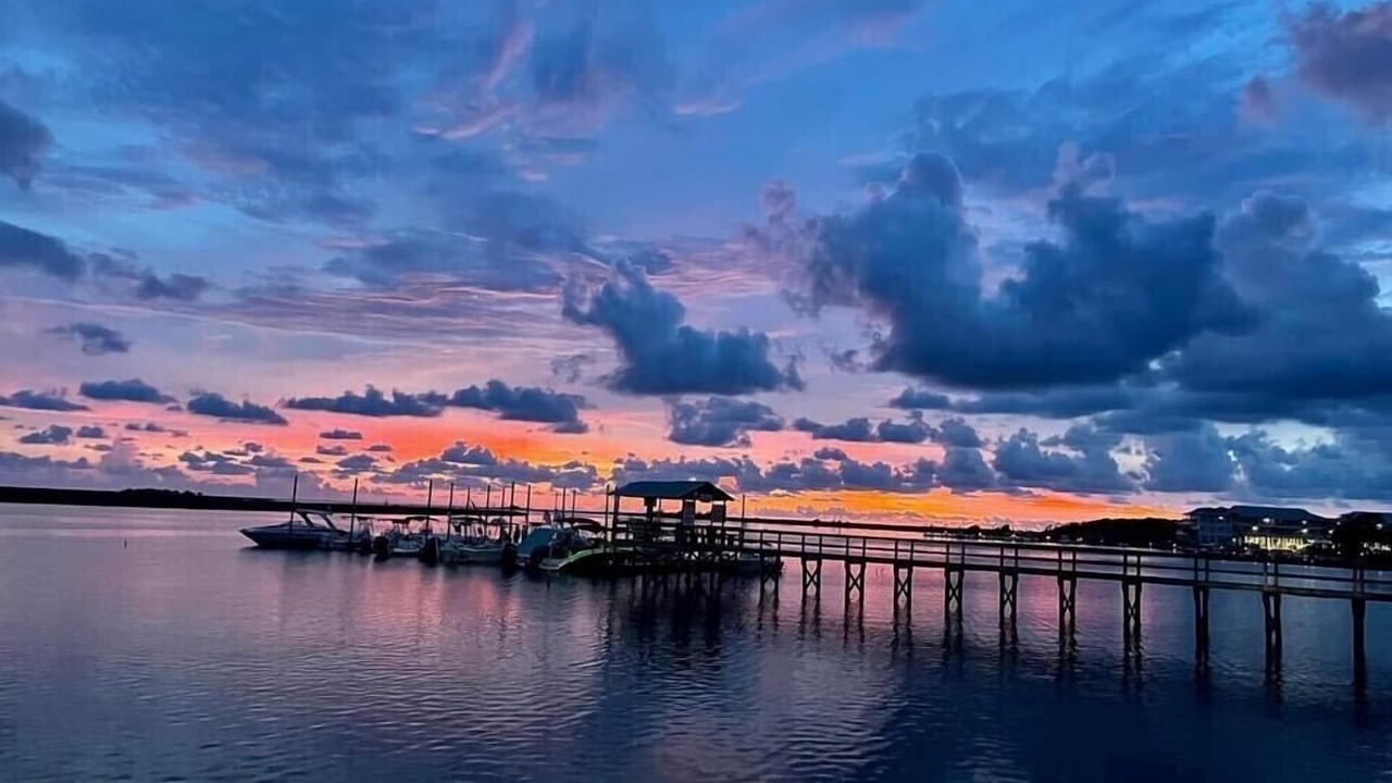 Photo of Others in Steinhatchee
