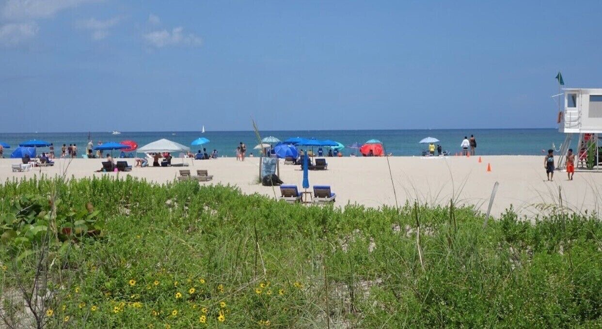 Photo of Others in Florida North Atlantic Coast