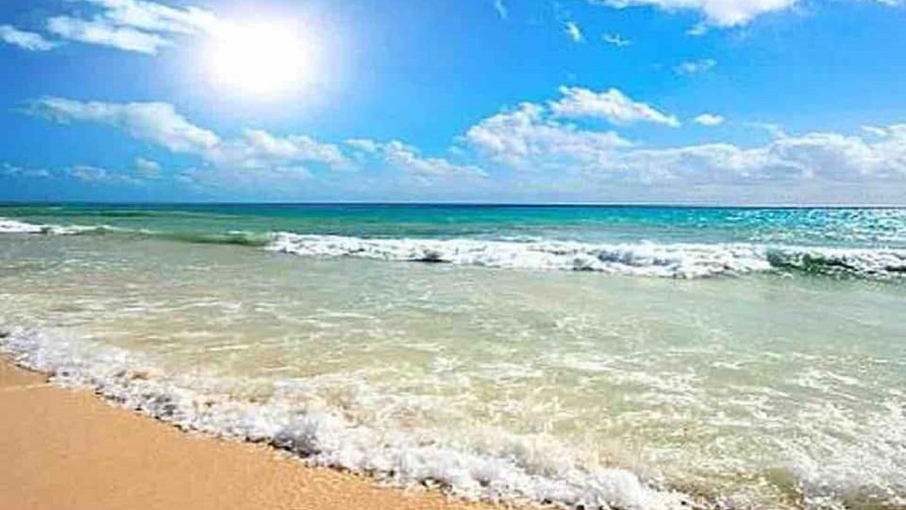 Photo of Others in Ponce Inlet