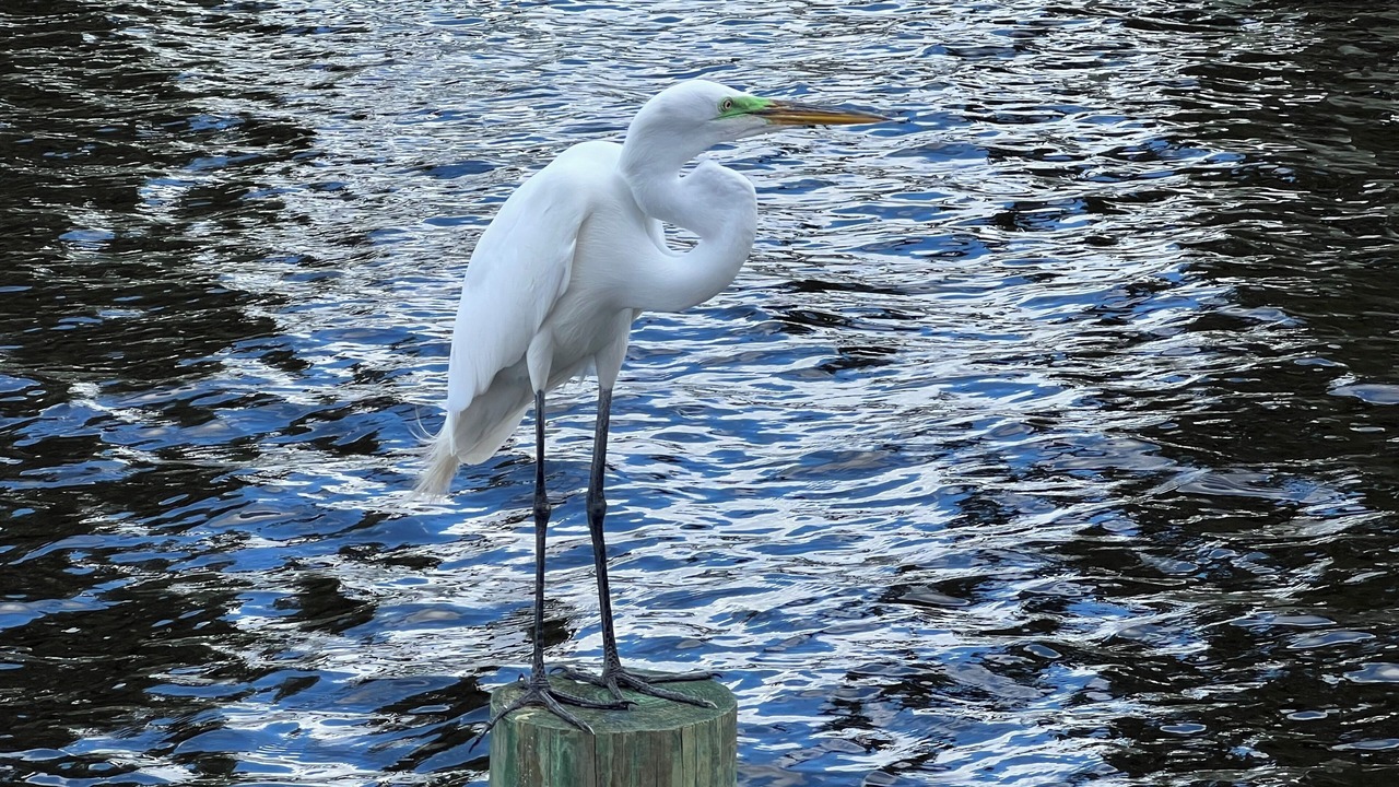 Photo of Others in Georgetown
