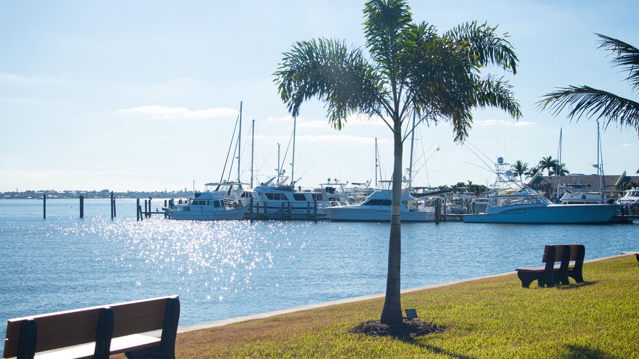 Photo of Others in Nettles Island