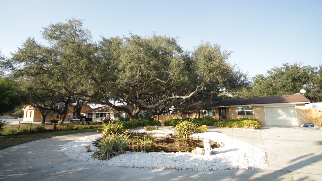 Photo of Outdoor in Brown Island