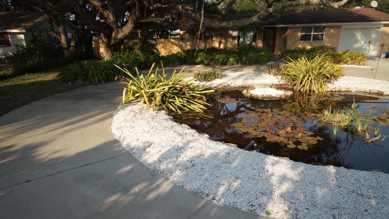Photo of Outdoor in Brown Island
