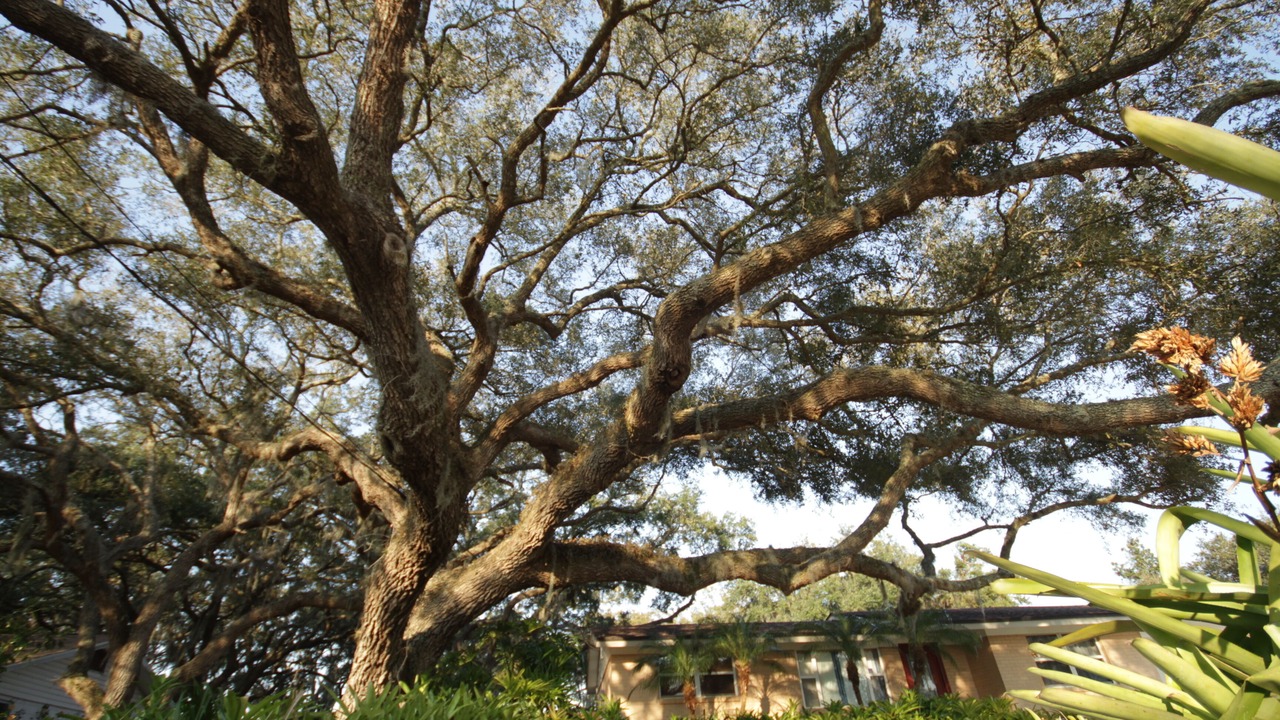 Photo of Outdoor in Brown Island
