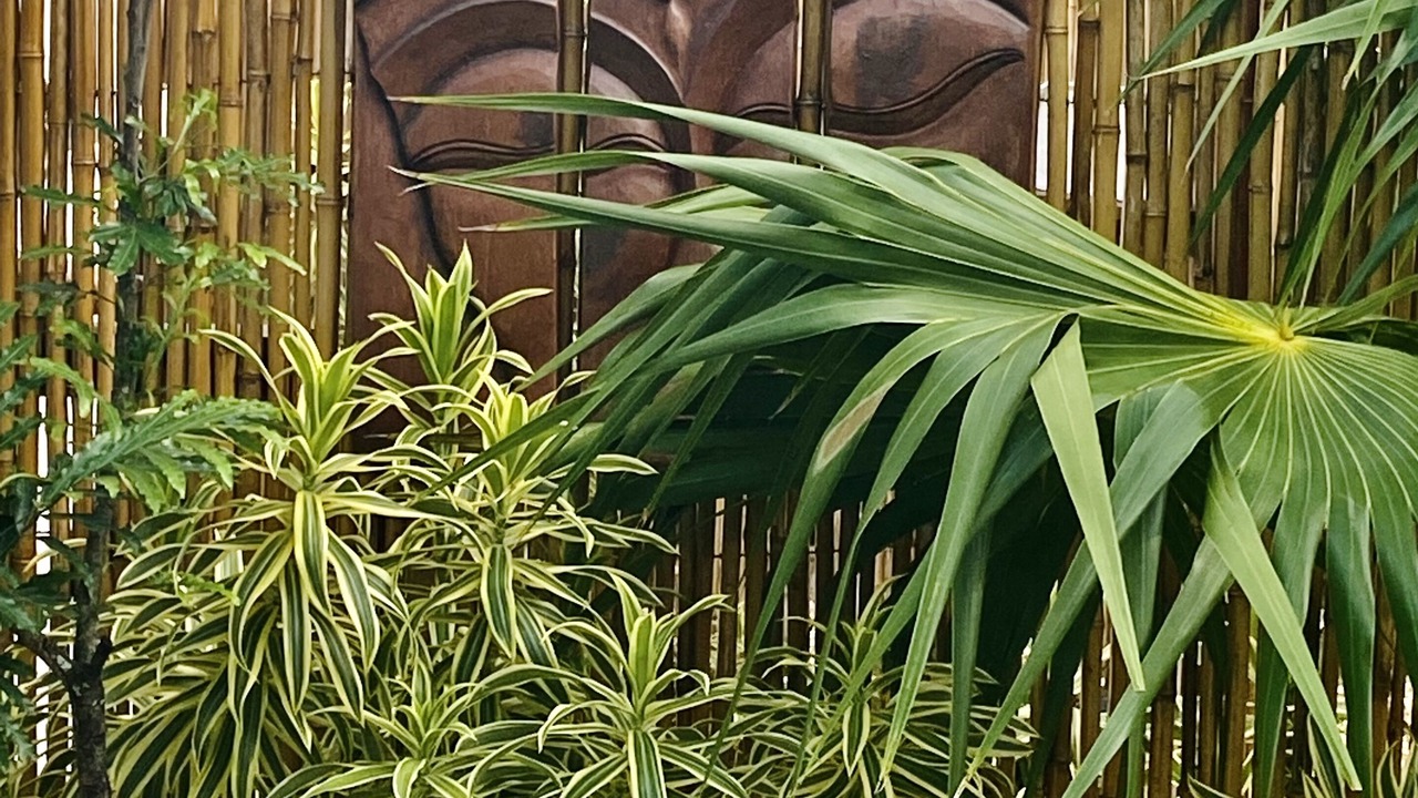 Photo of Outdoor in Parker Ridge