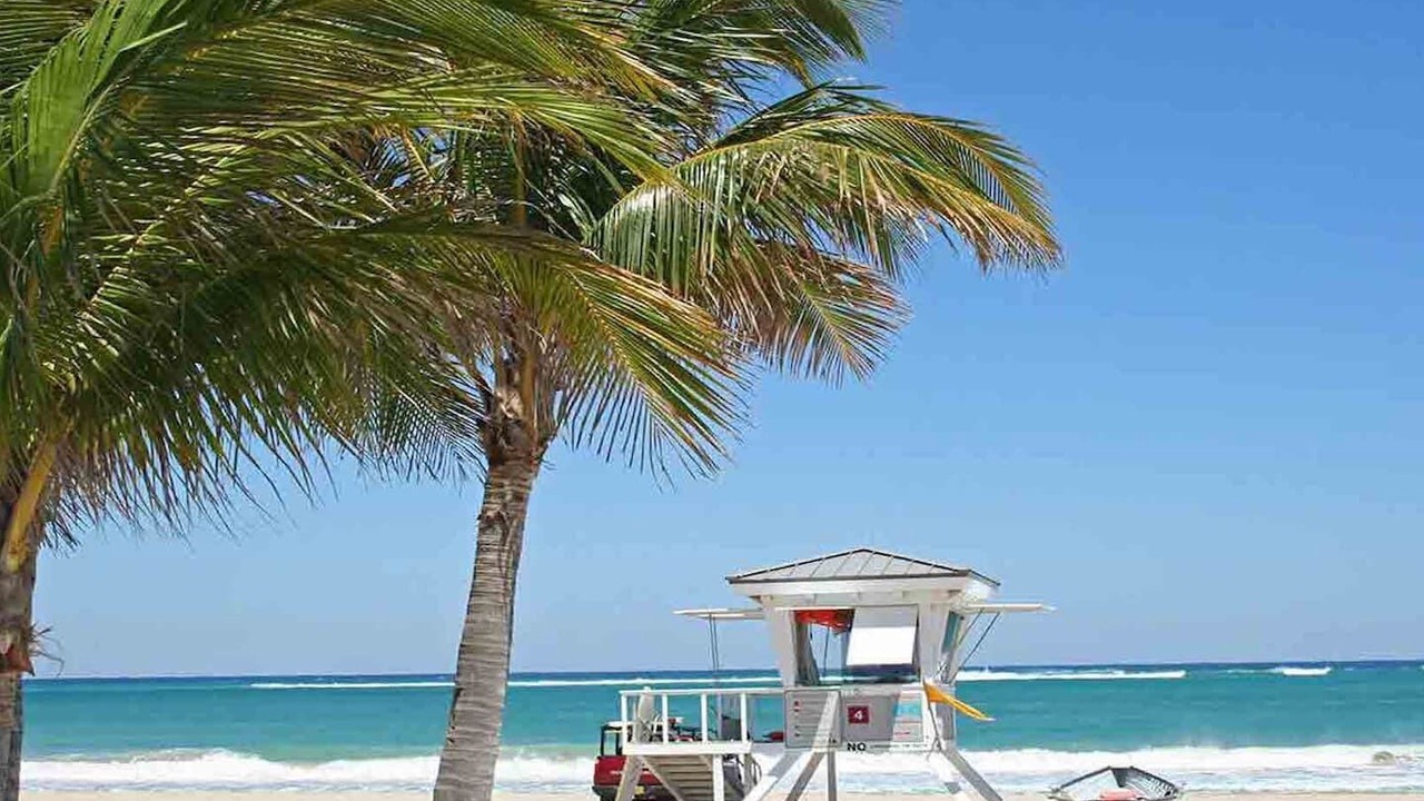 Photo of Others in Deerfield Beach