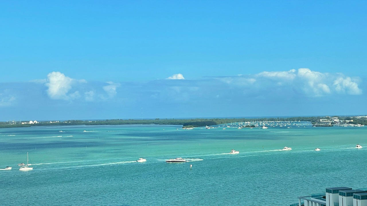 Photo of Others in Brickell