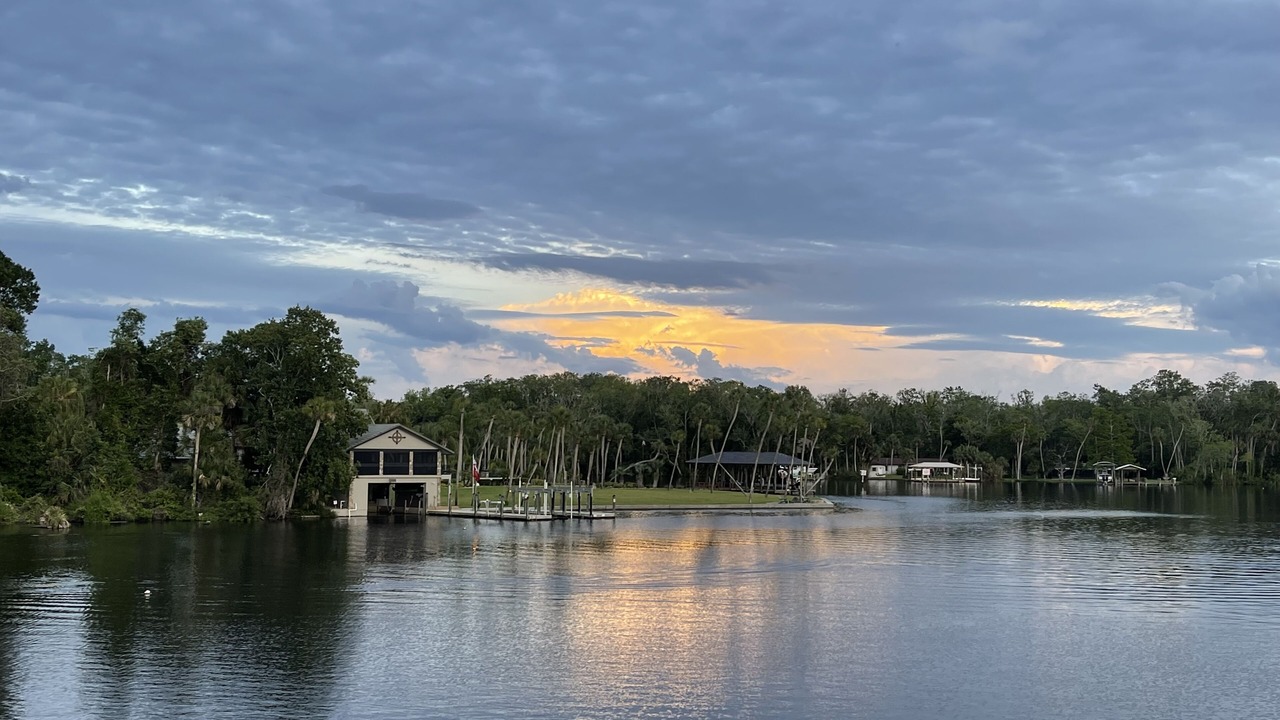 Photo of Others in Homosassa