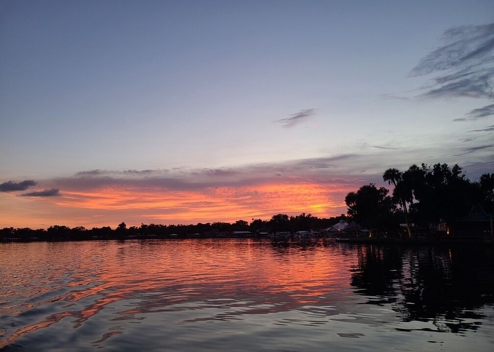 Photo of Others in Homosassa